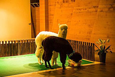 《永劫无间》职业联赛NBPL常规赛第四双周7月14日DAY1赛事